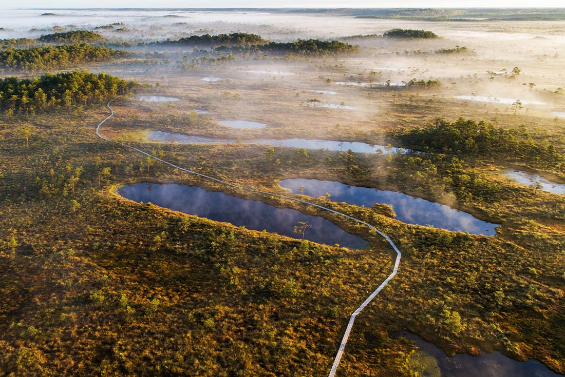 Hiking path through Soma National Park, Estonia