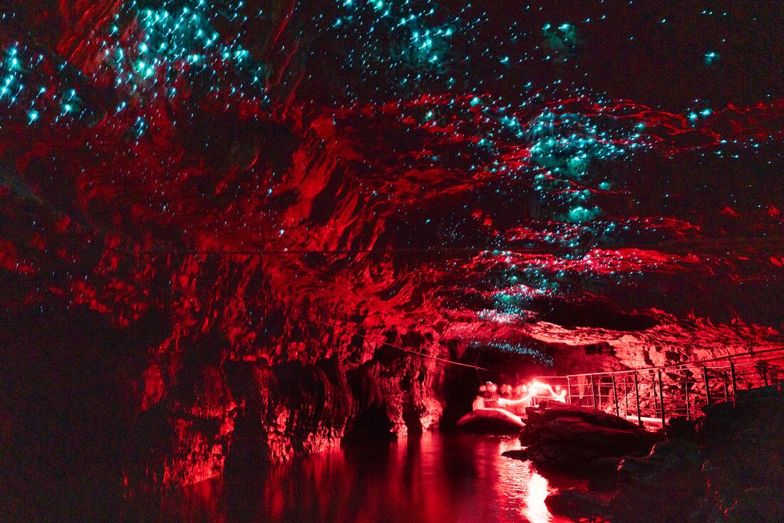 The Waitomo glow worm caves being illuminated red as travellers explore via a raft in New Zealand