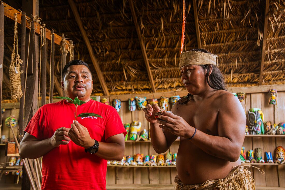 Learn about traditional crafts, culture, and reforestation from the Maleku on a community visit