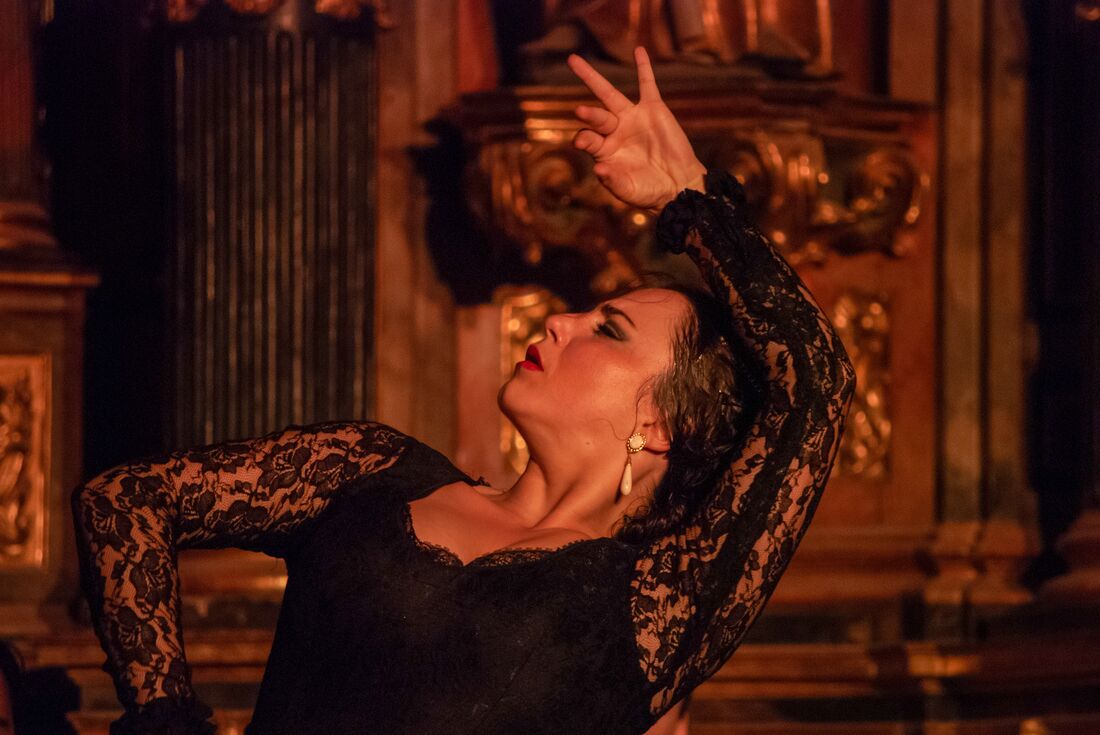 A passionate flamenco performance in Malaga
