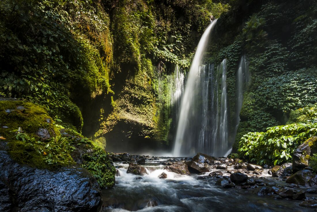 High arcing Sengang Gila waterfall ends in a stone alcove surrounded by dense greenery near Senaru village