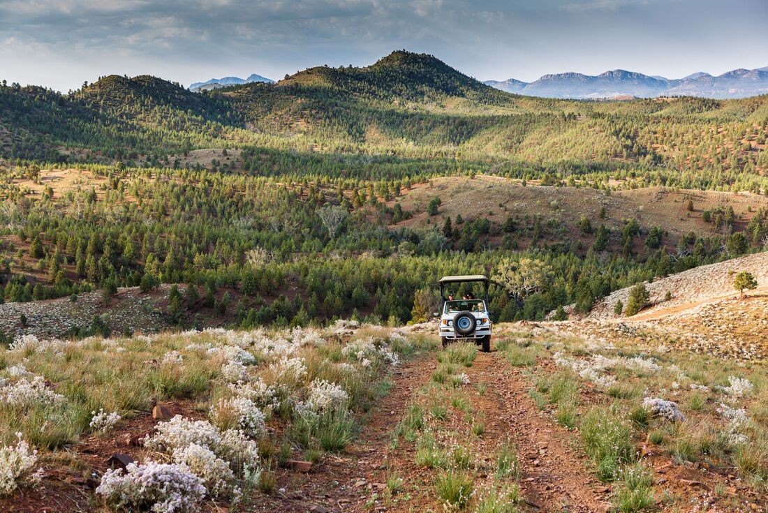 Travellers riding in a jeep through the conservancy and vast view of landscape of green trees on hills behind them, South Australia