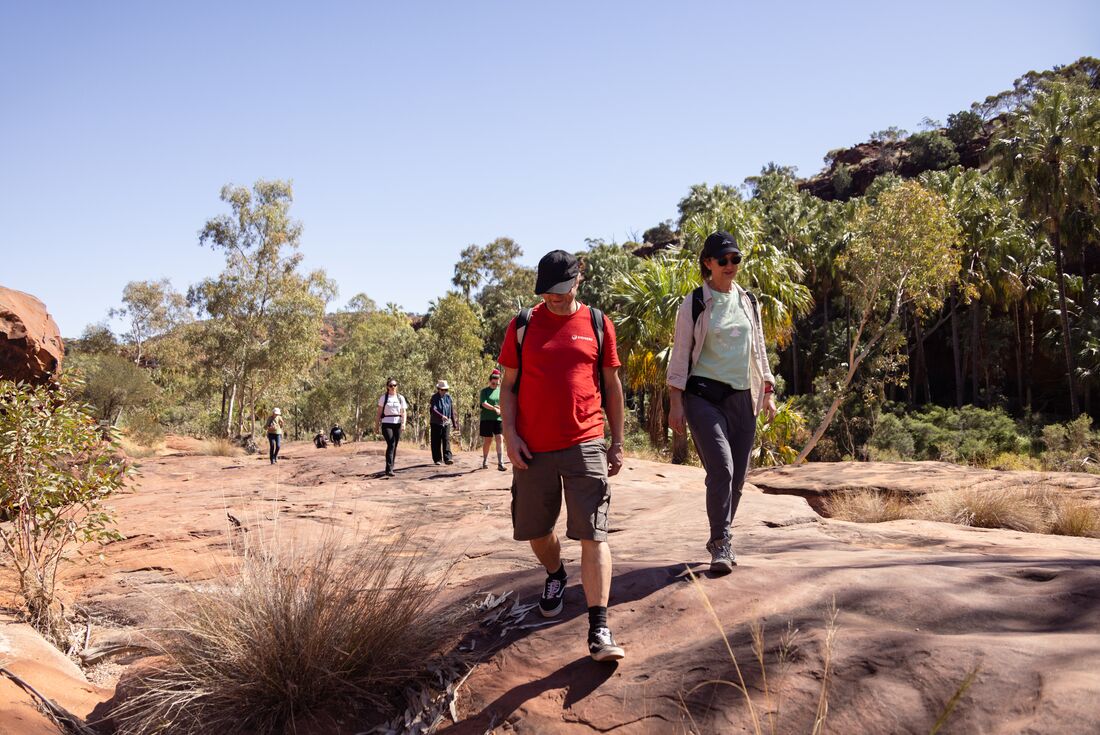 Intrepid leader heads a group through Ntaria gorge's palm dotted desert
