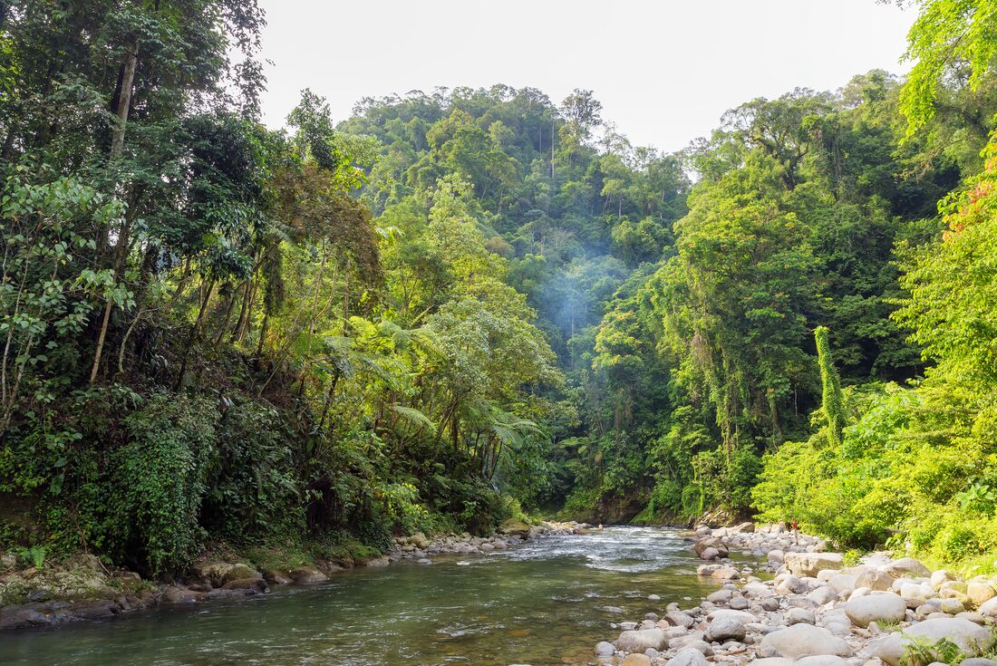 Mist rises over a river running through the jungle rainforest of Gunung Leuser National Park in Sumatra