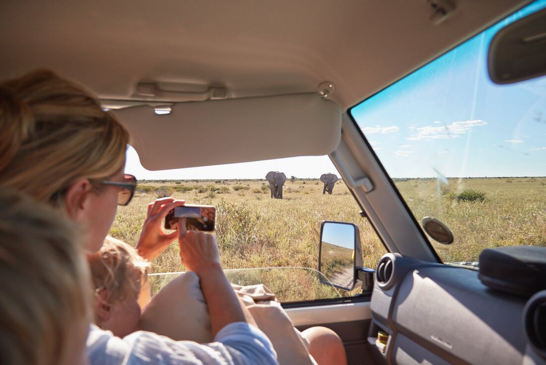 Elephant spotting on the Maasai Mara