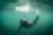 Sea lion diving under water