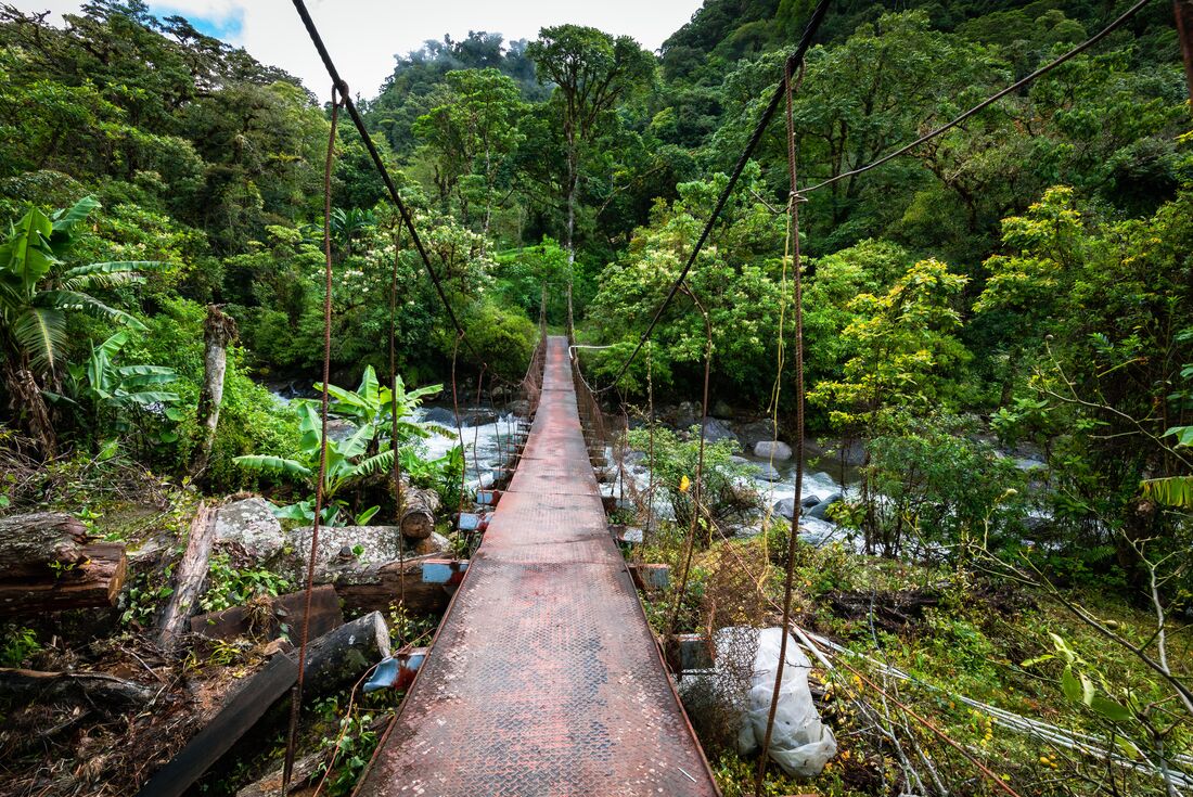 Boquete lost waterfalls path into the jungle in Panama