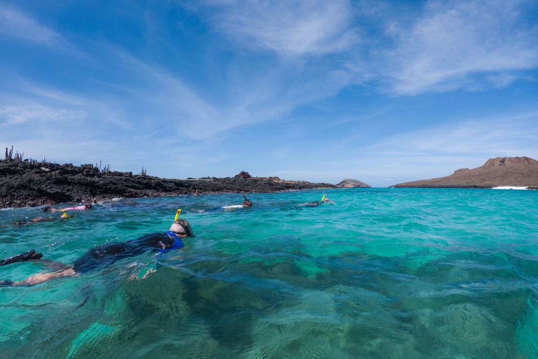Traveller group snorkelling in clear blue water and blue sky at Galapagos Islands in Ecuador