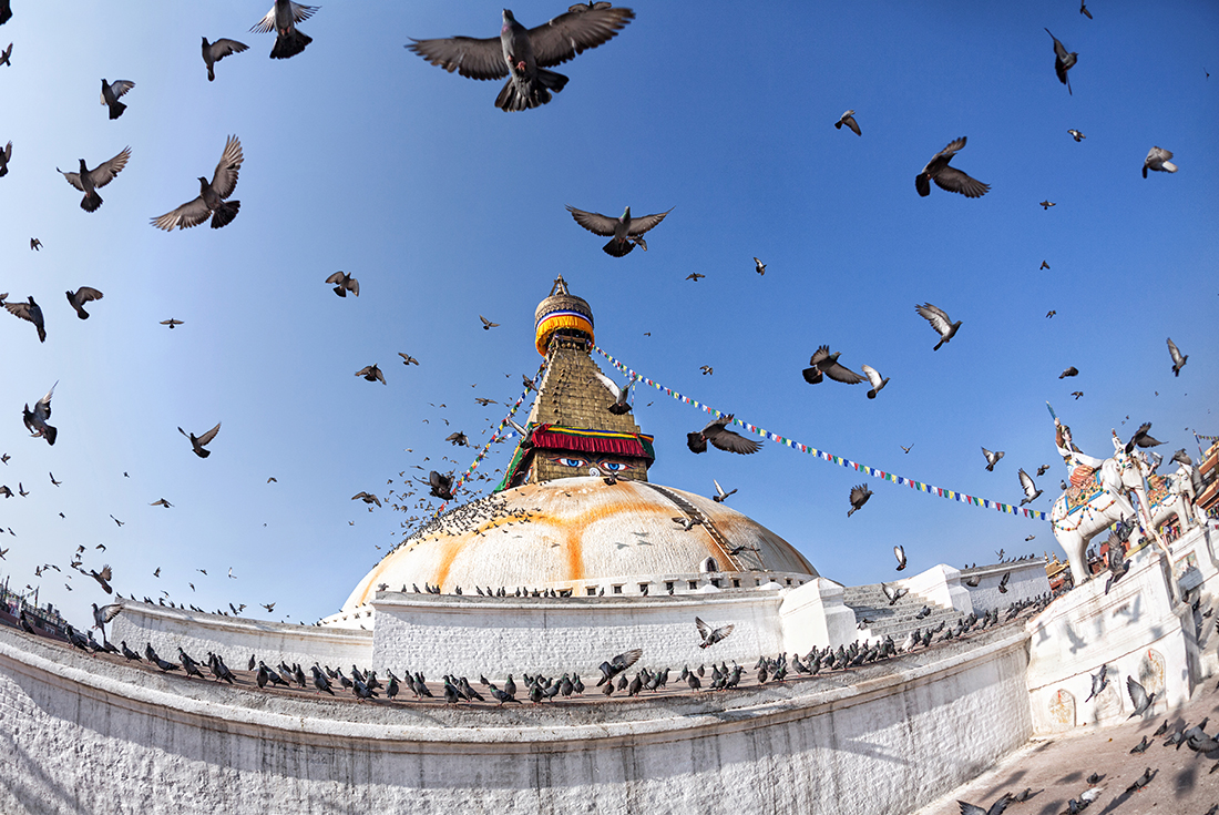 Flying birds in Bodhnath Temple, Kathmandu, Nepal