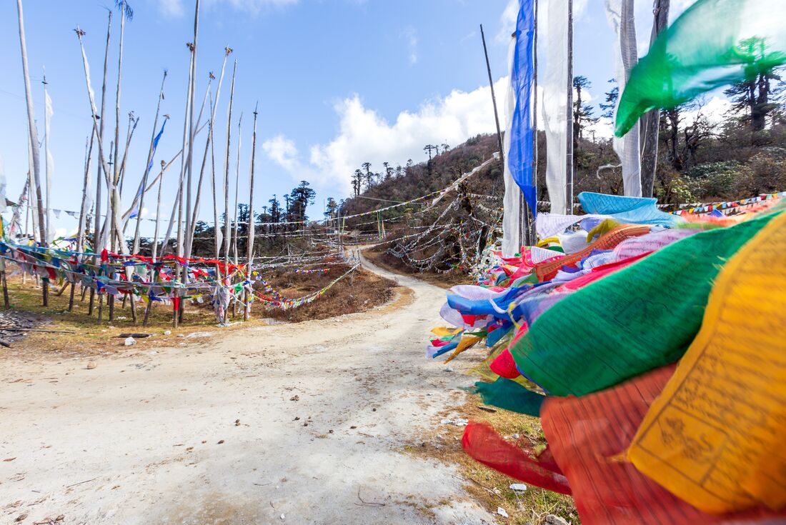 The path up through Yotongla Pass on the Trans Bhutan Trail