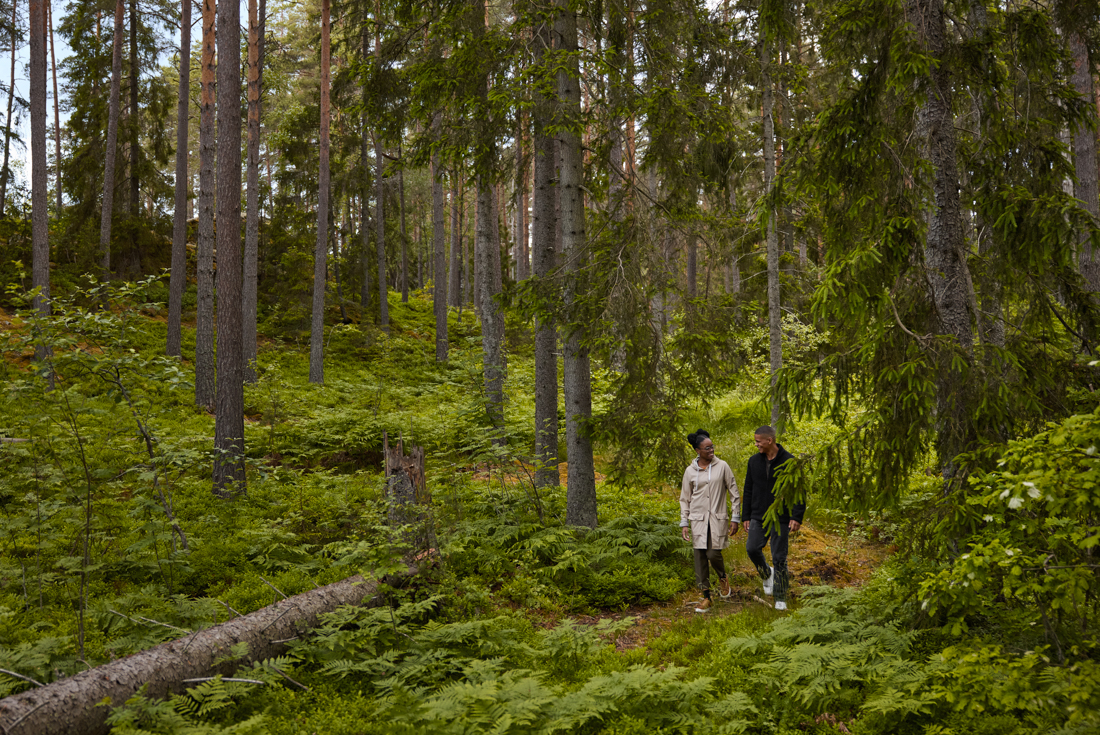 Travellers talk and laugh together while hiking through Sweden's forests