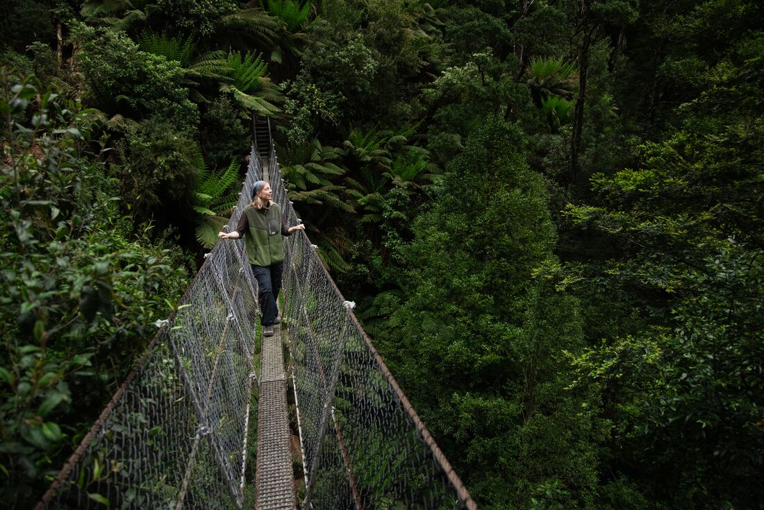 In the depths of the Tarkine (takayna) Rainforest