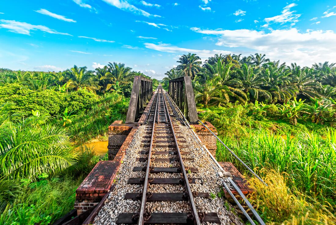Train tracks lead across a small bridge through the jungle rainforest of Malaysia