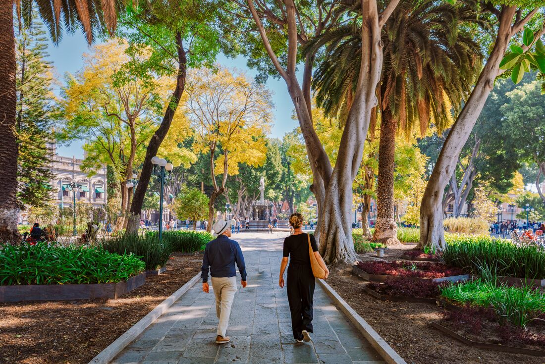 Travellers walk the green shaded streets of Puebla city