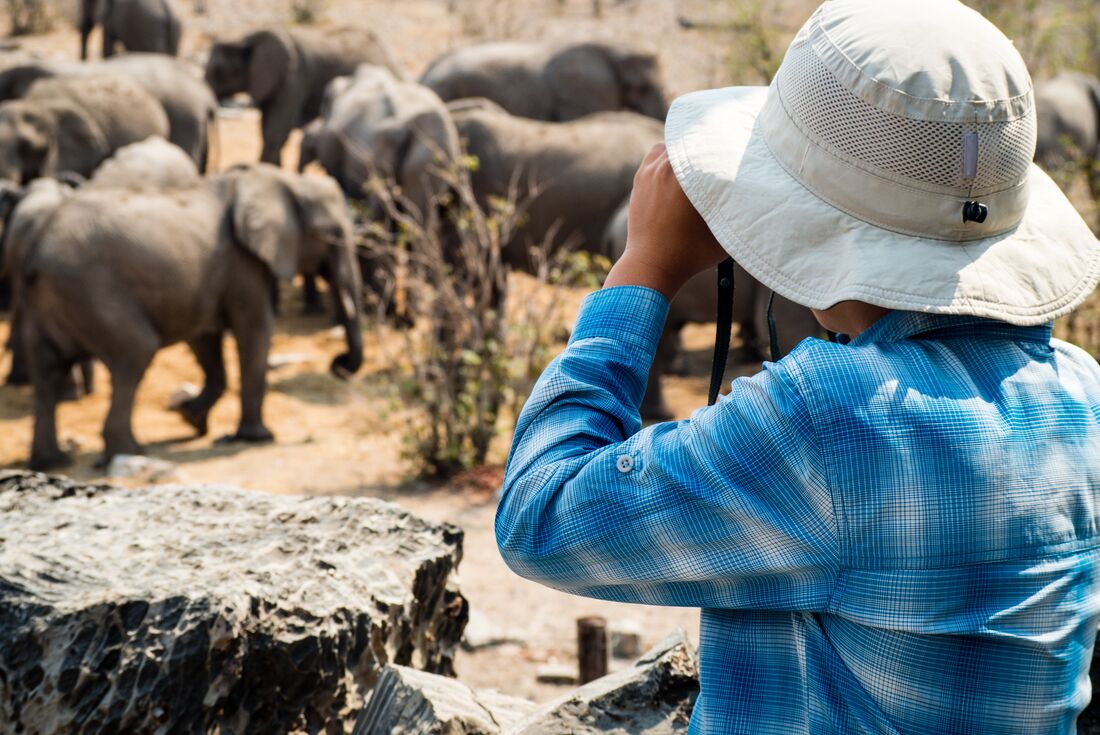 Teenage girl looking out over a herd of elephants in Kruger National Park
