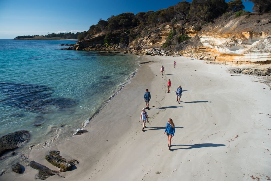 Aerial view of group of travellers walking along the beach, looking out at the  water on a clear blue sky day on Maria Island, Australia