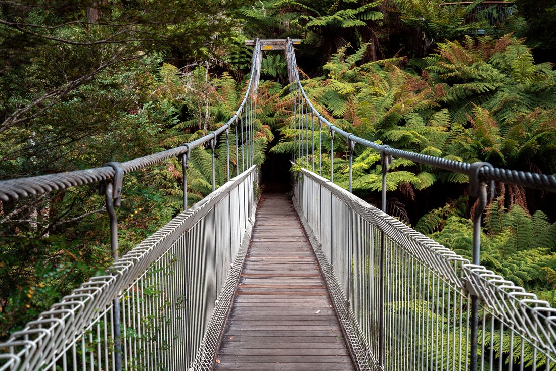 Corrigan suspension Bridge in the rainforest in South Gippsland, Austalia