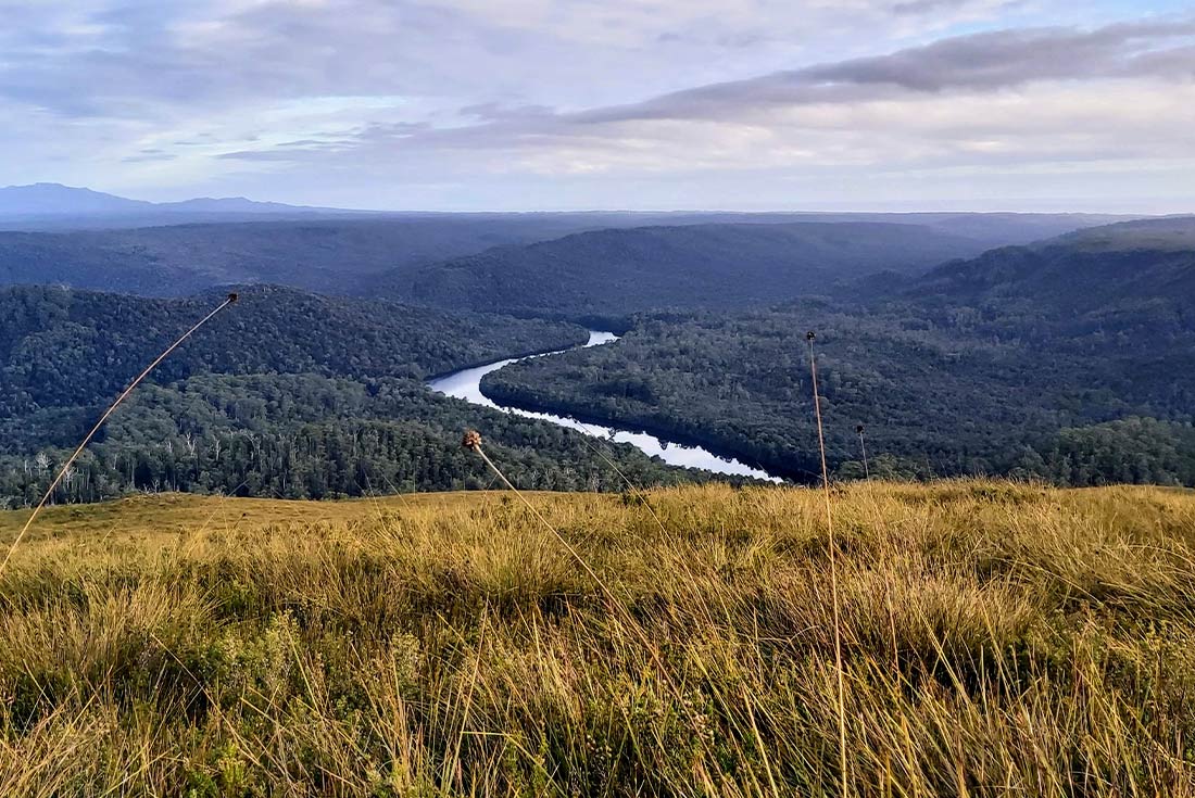 Aerial view of the Savage River along the Tarkine Rainforest walk, Tasmania, Australia